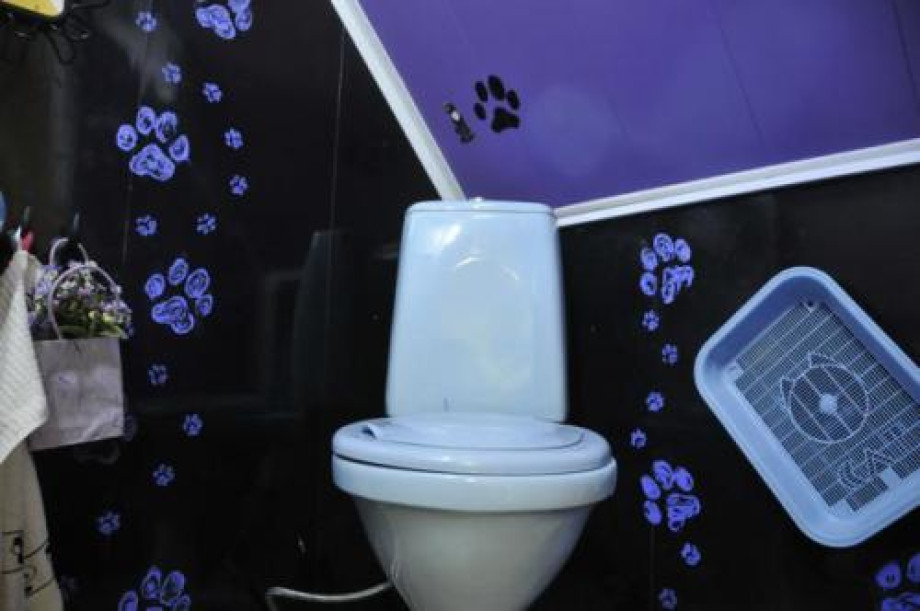 Туалет во всеволожском «Музее кошки». Изображение 1